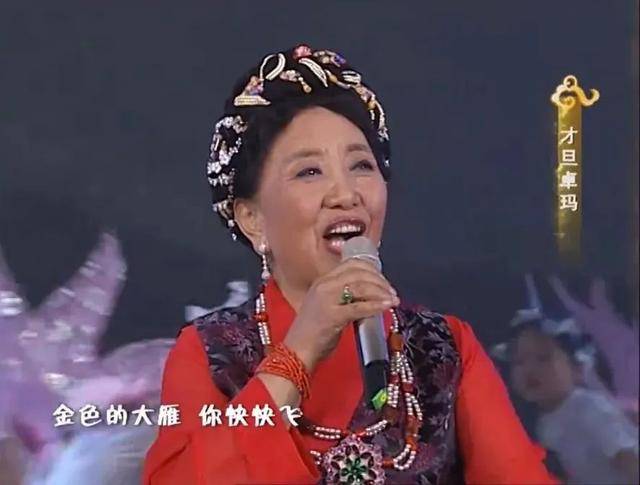 mos055皇冠_88岁的她坐轮椅出现在春晚mos055皇冠,全场泪目!