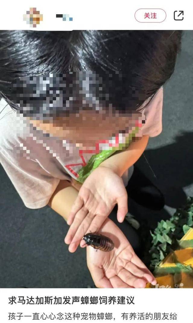 皇冠信用网庄家_门口惊现“蟑螂”皇冠信用网庄家，杭州一住户用杀虫剂一喷，邻居怒了：我的螳螂……