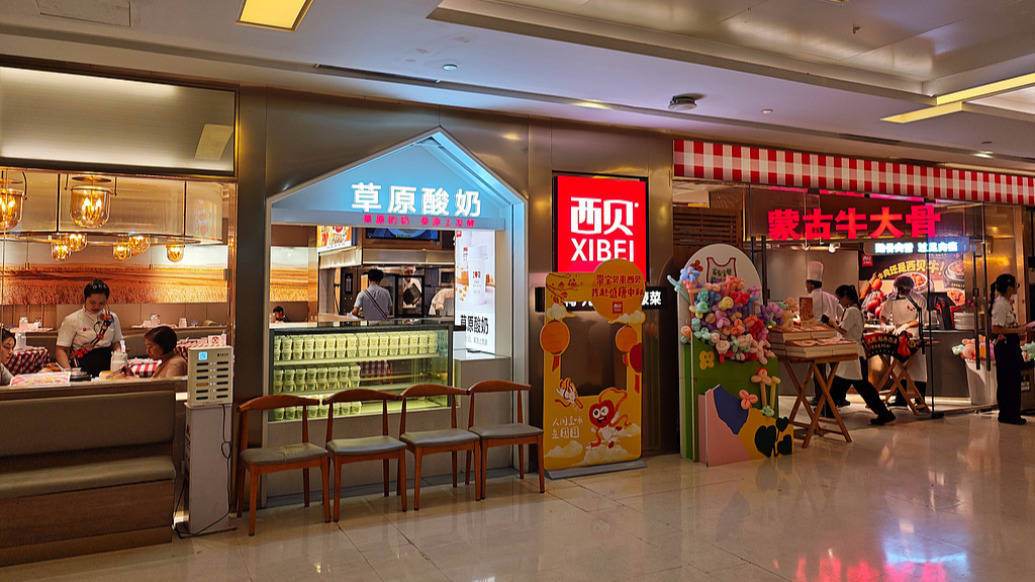 广东广州豹vs石家庄功夫_西贝创始人称日营业额骤降百万广东广州豹vs石家庄功夫，罗永浩表态不反对预制菜但消费者应有知情权