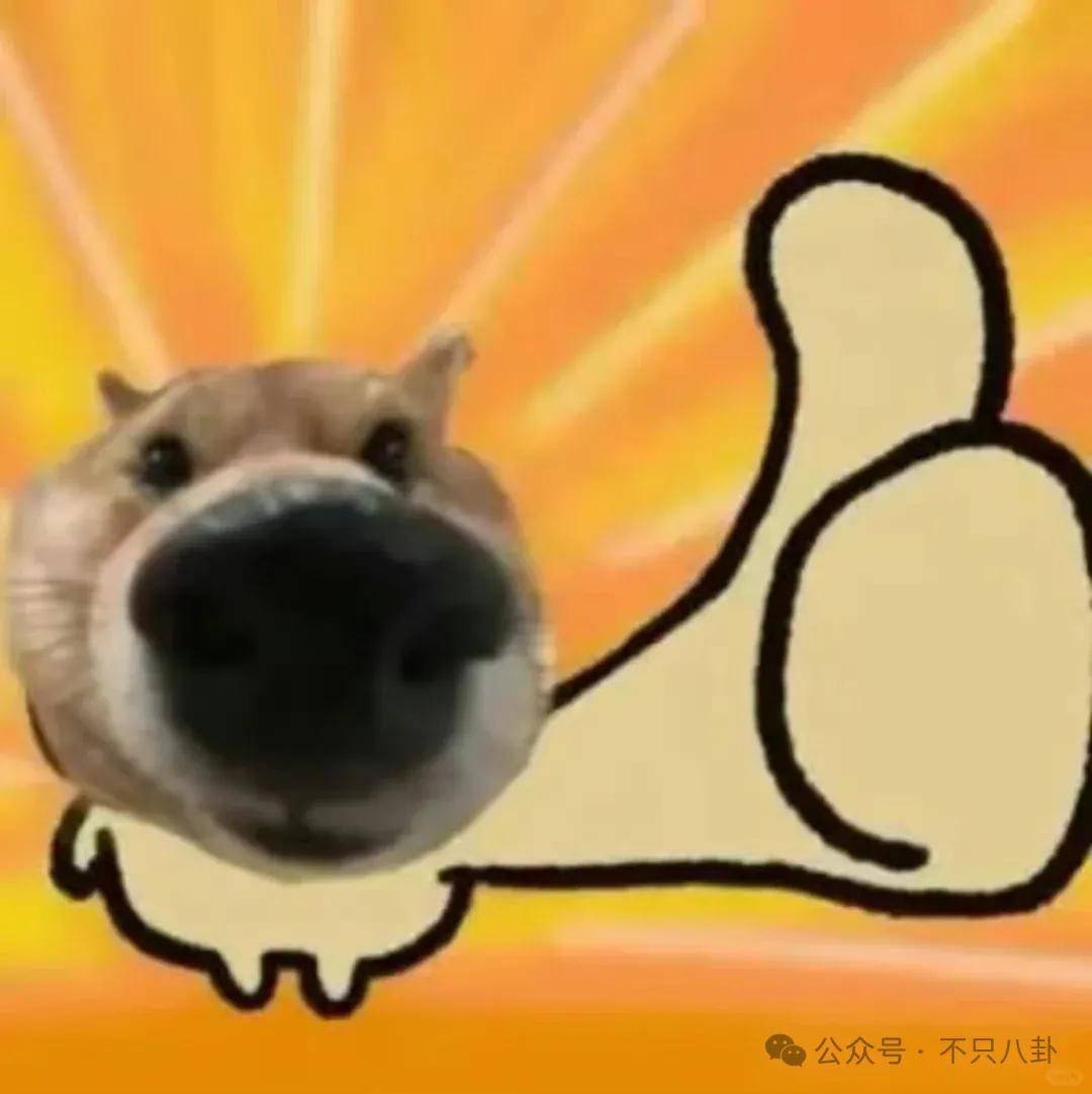 皇冠信用开户_姐终于离了皇冠信用开户,这次总算是摆脱不靠谱的老公和强势的婆婆了!