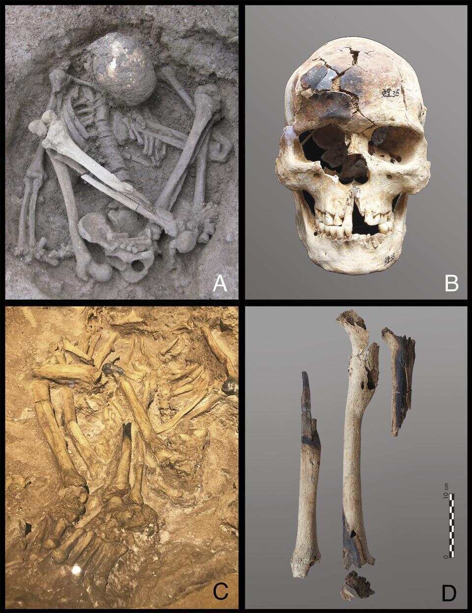 皇冠信用网登1_东南亚惊现1.2万年前木乃伊皇冠信用网登1，或是世界上已知最古老木乃伊；此前，埃及木乃伊广为人知