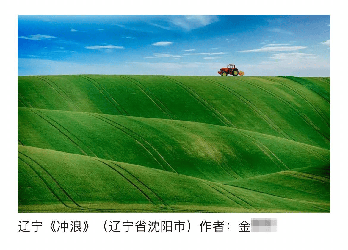 皇冠信用网开号_辽宁传媒学院一教师摄影作品涉嫌抄袭被取消入展资格皇冠信用网开号,同校美术系主任此前被认定抄袭