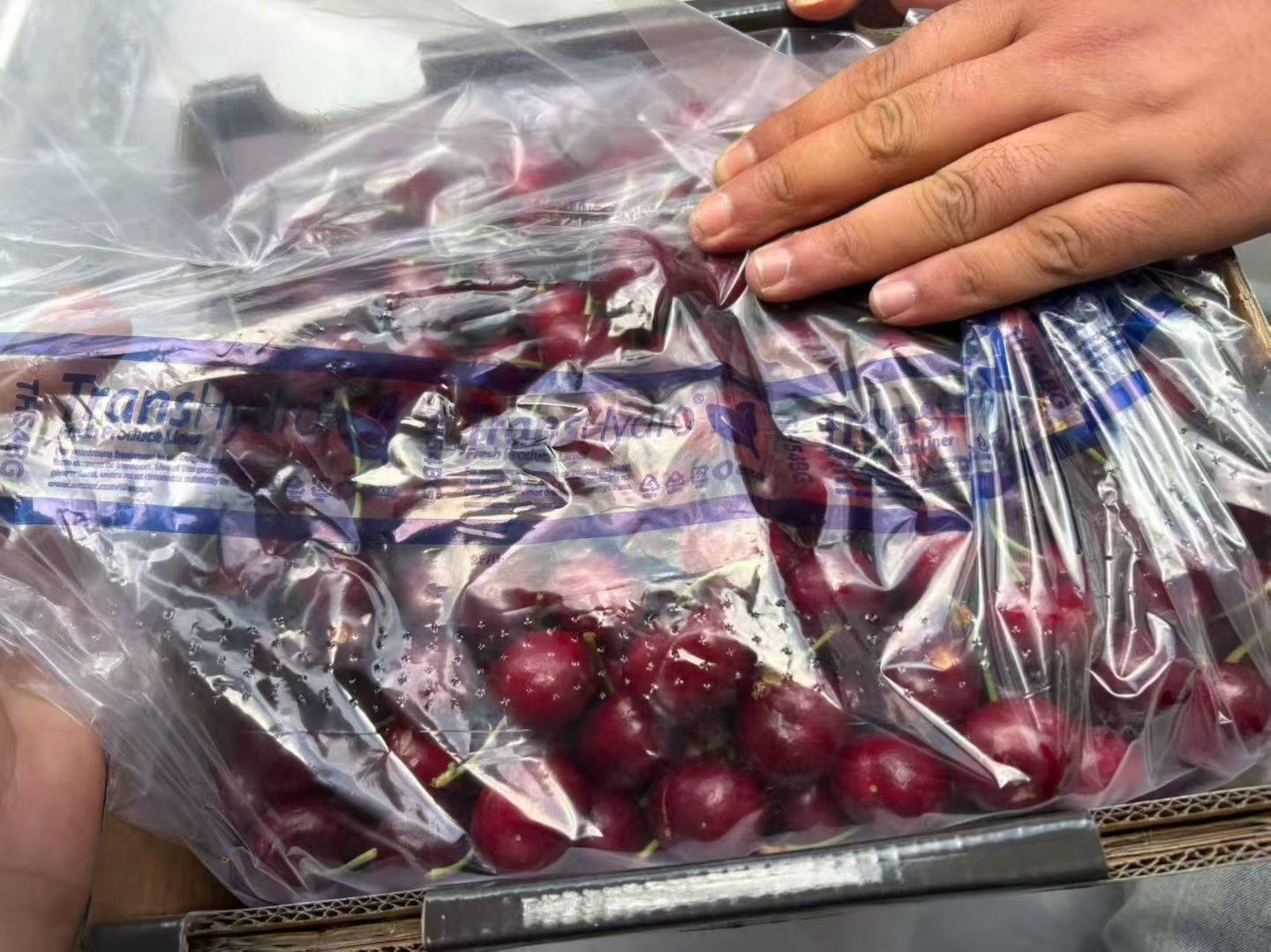 皇冠信用網登2代理
_武汉第一波智利车厘子从1700元每件降至800元皇冠信用網登2代理
,有批发果商每天卖出1千斤,回应:主要流向高端客户