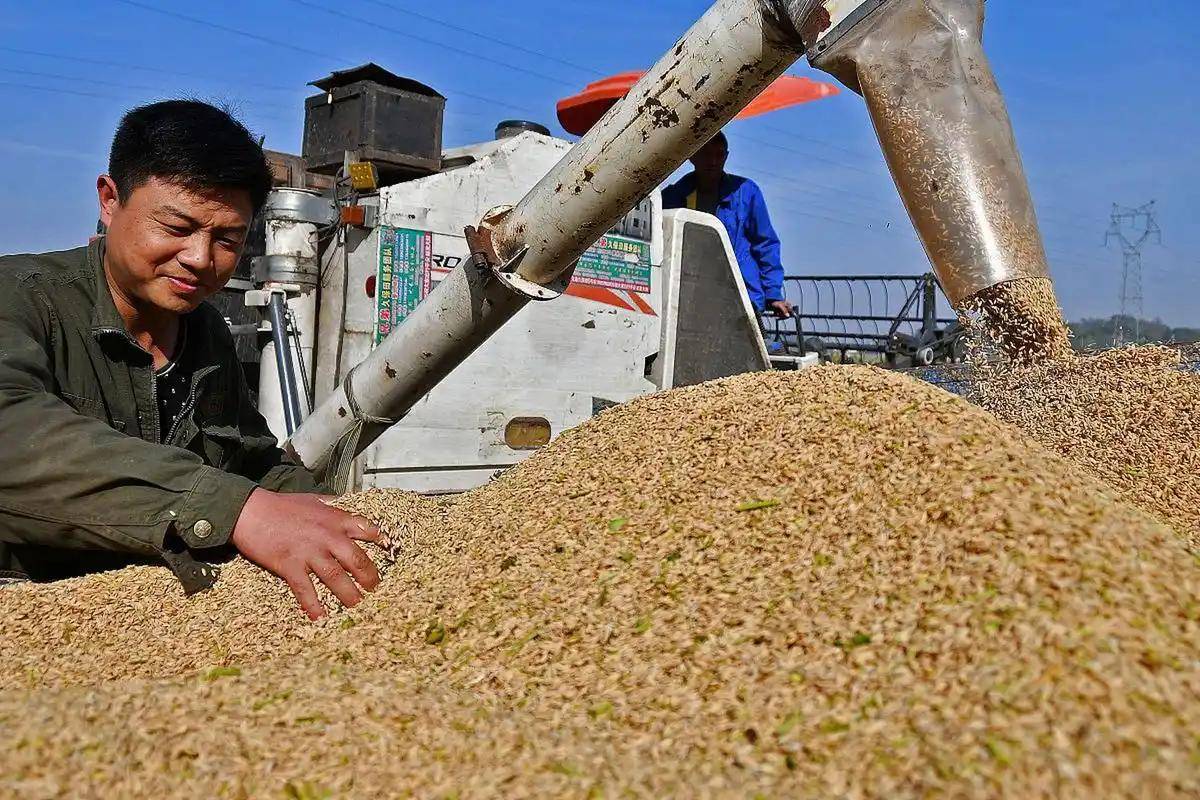 皇冠信用网代理平台
_200万吨大豆烂港!巴西主动降价皇冠信用网代理平台
,中国转头下单三船美国大豆,巴西自食其果了