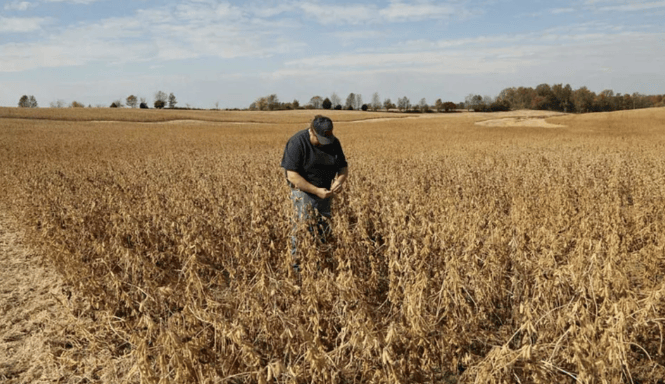 布里斯托城 vs 布莱克本
_谈妥了又突然变卦！中国复购美国大豆换关税暂停布里斯托城 vs 布莱克本
，美贸易代表直接通告全球：继续查中国