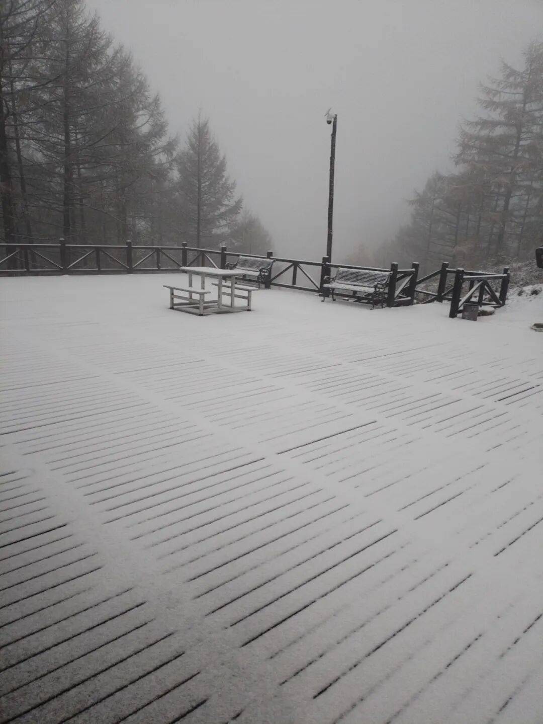 皇冠体育App下载
_石家庄下雪了！河北将迎中到大雪皇冠体育App下载
，未来三天……