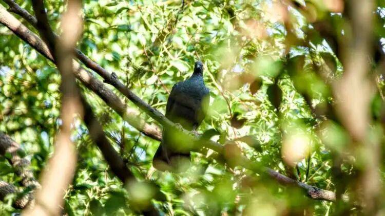 皇冠球网怎么做代理
_百年罕见！首次在上海被目击皇冠球网怎么做代理
，有人专门从北京“打飞的”赶来