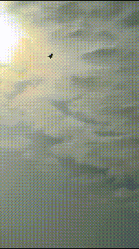 皇冠信用账号怎么开
_被打惨后皇冠信用账号怎么开
，伊朗空军飞行员对苏-57感到失望：本来要买150架歼-10