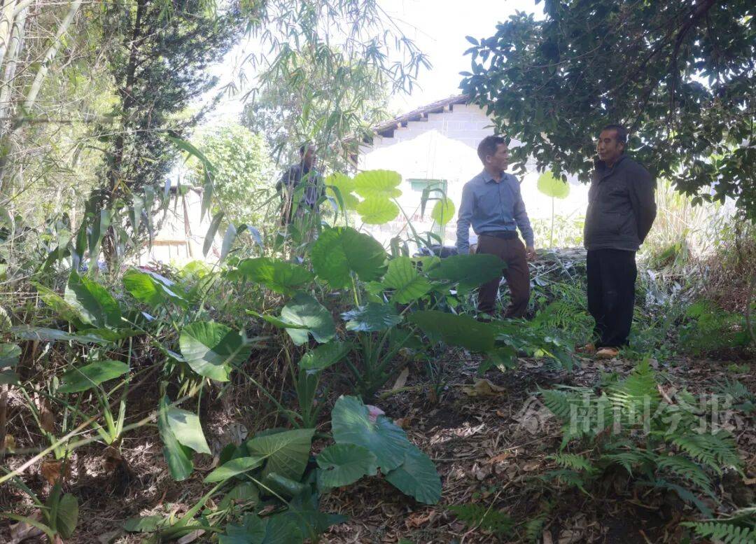 皇冠信用登2代理
_柳州钓鱼阿叔竹林挖蚯蚓皇冠信用登2代理
,竟挖出千年前的“大宝贝”!