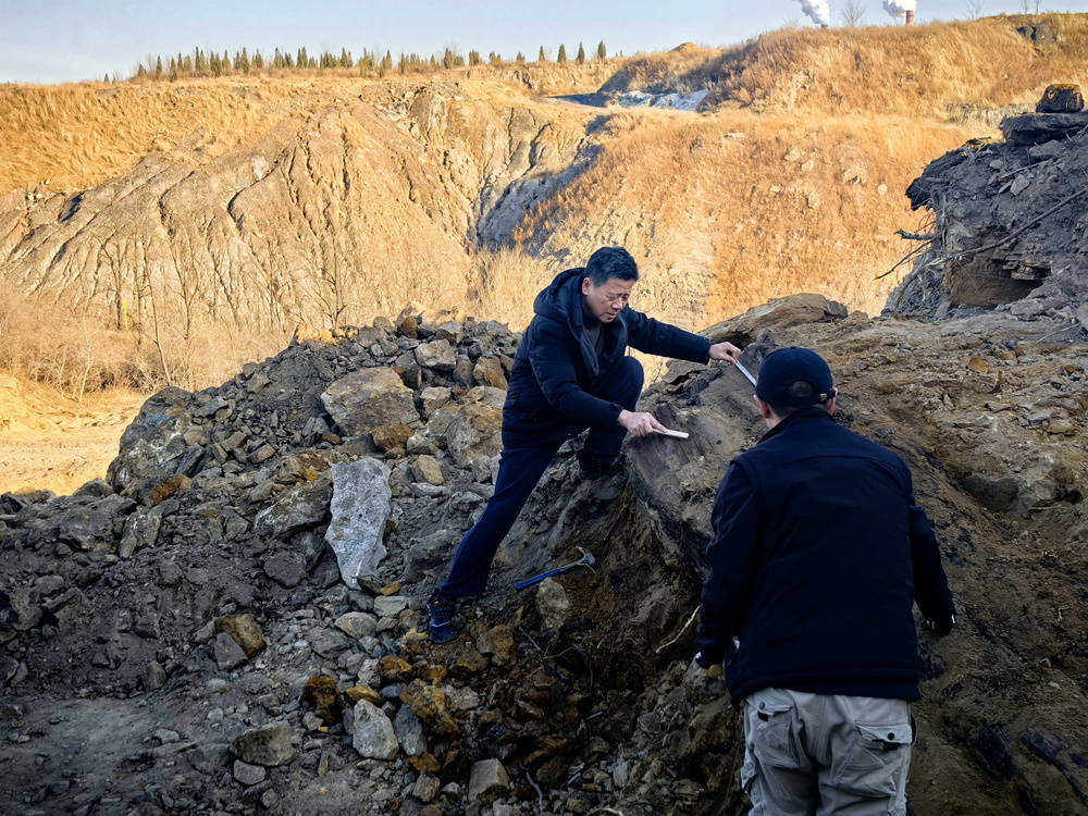 南非足球世界杯_山西省阳泉市太旧高速路改线工程现场发现国家一级重点保护木化石