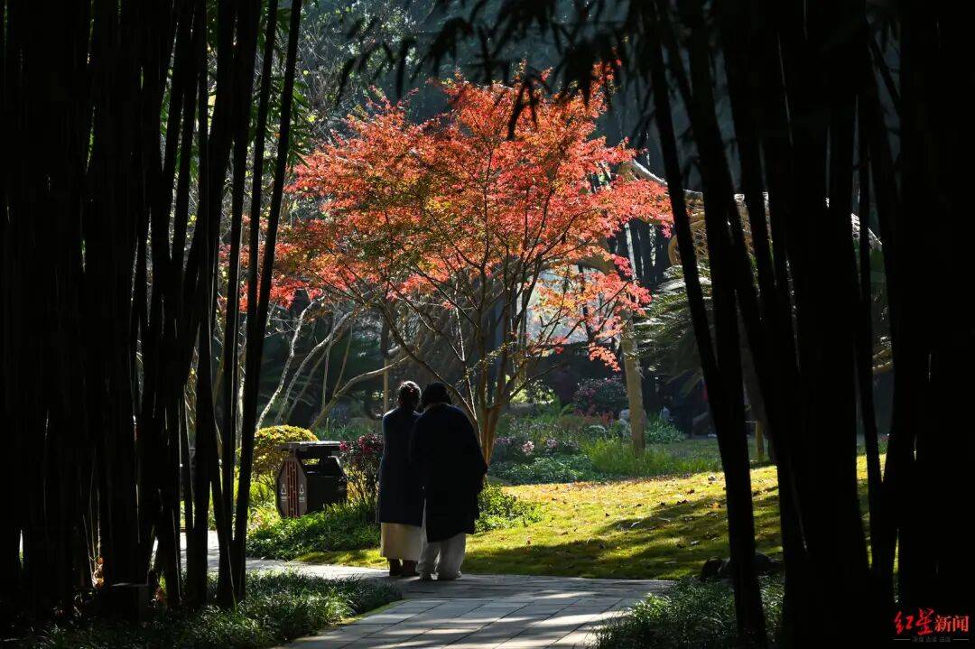 皇冠信用網代理_我国已进入拉尼娜状态皇冠信用網代理！四川今冬或“前暖后冷”