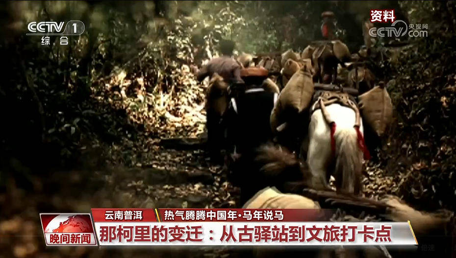 皇冠信用网会员
_马年说马|从马背到铁轨 茶马古道迎新生
