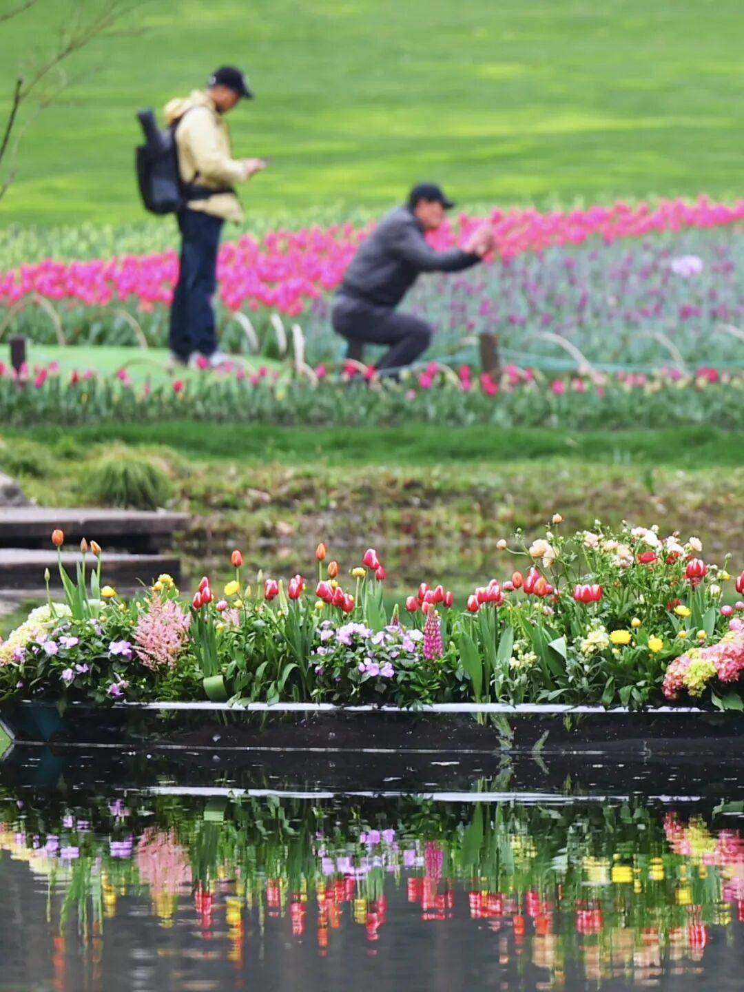 皇冠信用网代理登1 _飙到20℃！杭州人注意皇冠信用网代理登1 ，大反转来了！时间已确定......